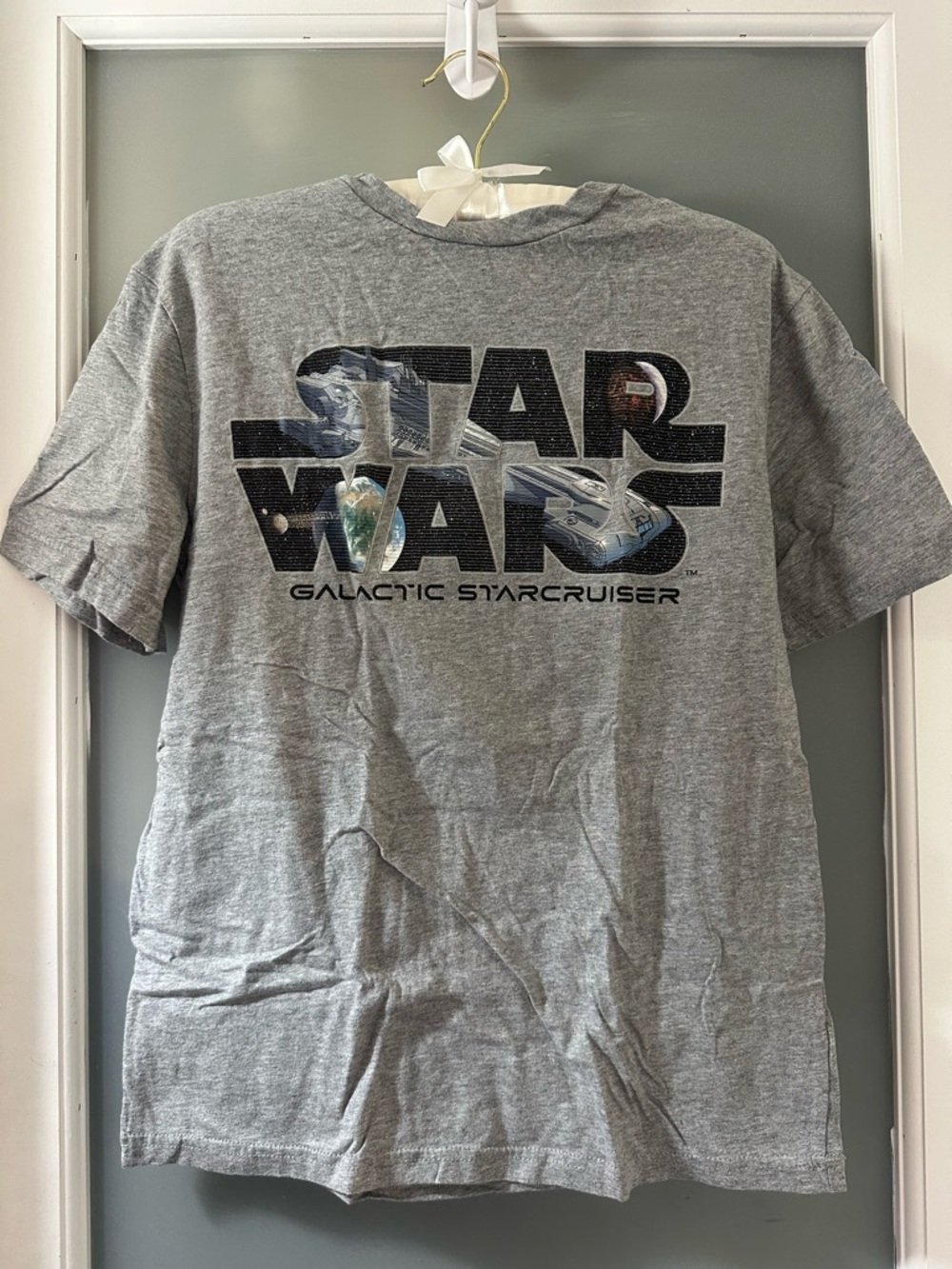 Star Wars Galactic Starcruiser Gray Tee